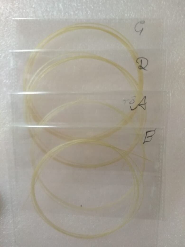 Tenor Violin Strings Set DAEC. Ecoosa Gut Strings Ship Fast Shipping From USA